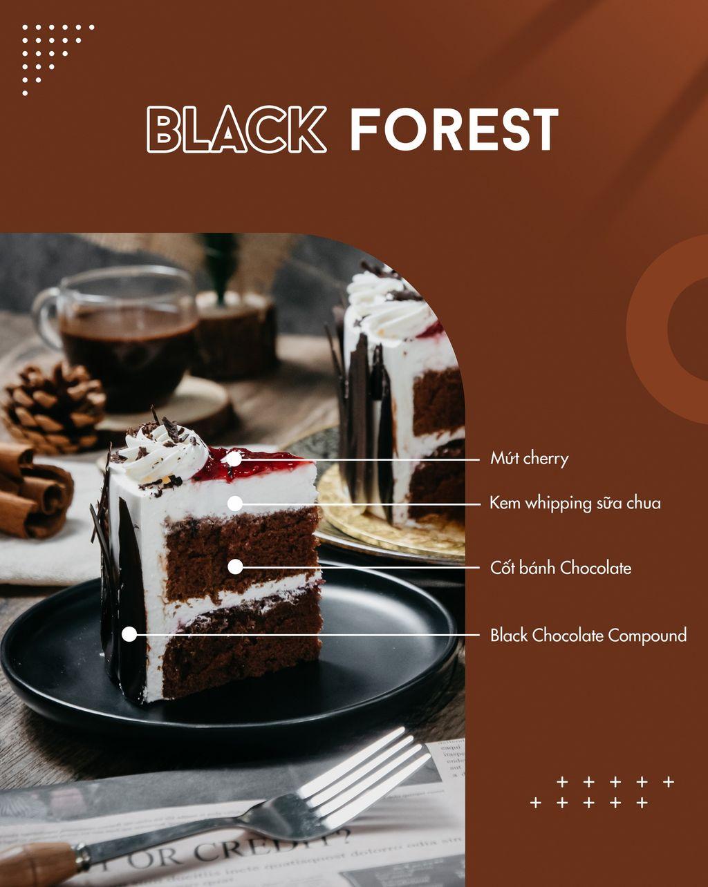 src/images/products/banh-sinh-nhat/banh-kem-black-forest/#1blac-forest0.jpeg