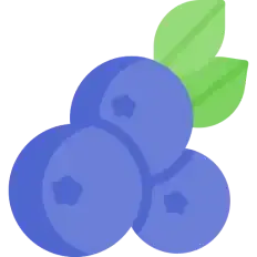 blueberry